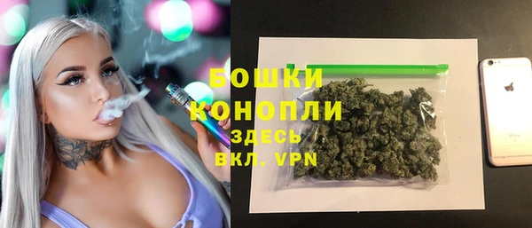 сатива Волосово