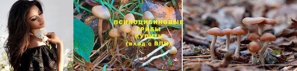 соль ск Волоколамск