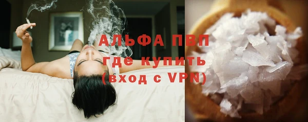 сатива Волосово