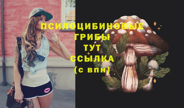 PSILOCYBIN Володарск
