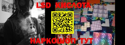 стафф Заводоуковск