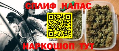 стафф Заводоуковск