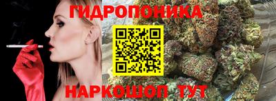 apvp Жуковский