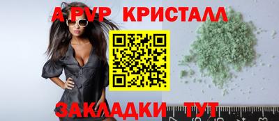стафф Заводоуковск