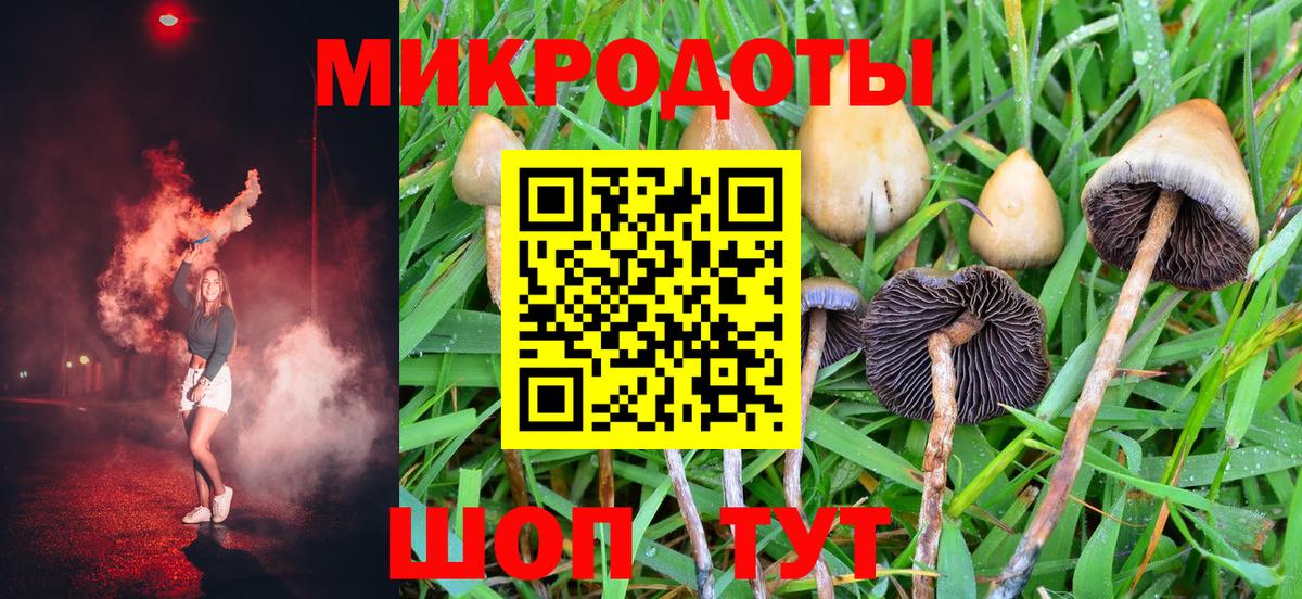 Галлюциногенные грибы Psilocybine cubensis Геленджик