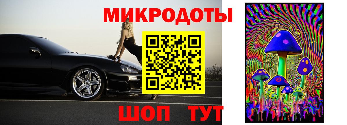 магазин    Геленджик  Галлюциногенные грибы мицелий 